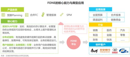 epm業(yè)財一體風頭漸起 ,fone如何突破財務數字化的邊界